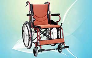 Elder Care India - Mobility Aids
